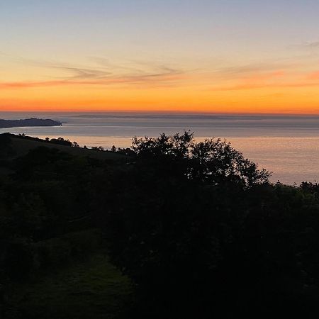 Cliff Lodge Torquay Eksteriør bilde